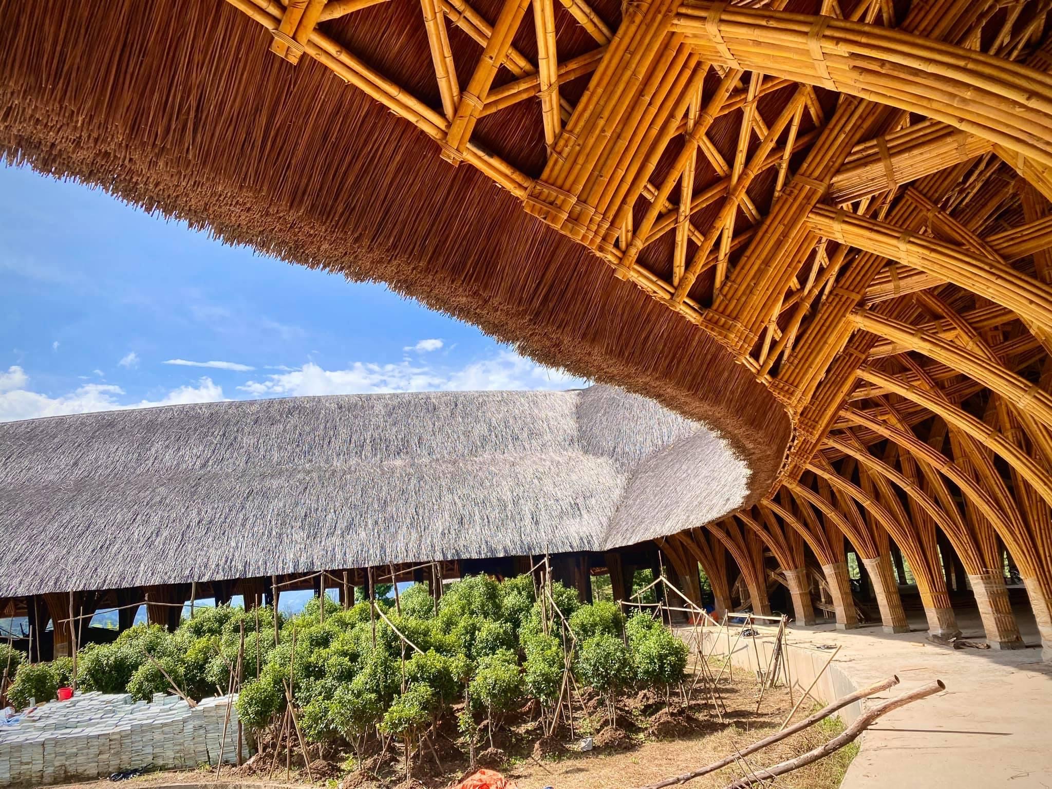 Tre - Giải pháp vật liệu sinh thái cho công trình xanh