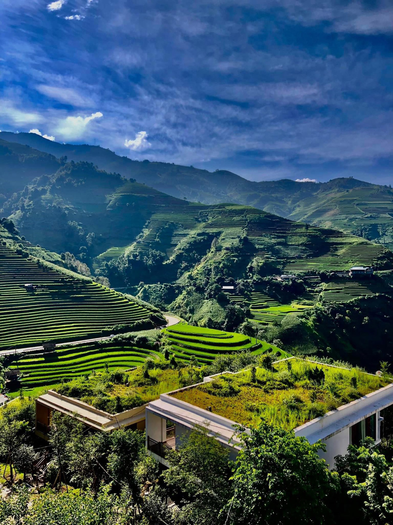 This image for Image Layouts addon